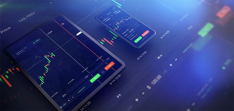 Portfolio image